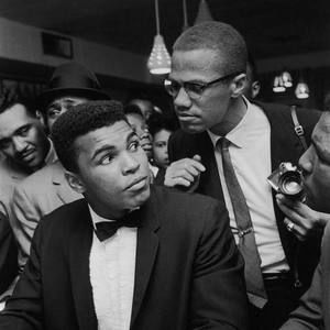 Meet your Posher, Donald